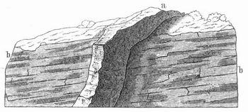 Fig. 5. Quarzgang in Grauwacke.