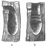 Fig. 1. Längsschnitte: a einer natürlichen Spechthöhle, b einer v. Berlepschen Nisthöhle.