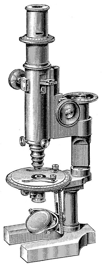 16. Polarisations-Mikroskop.